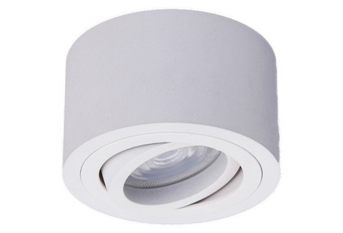 A50LM Luminaire Round White Tiltable